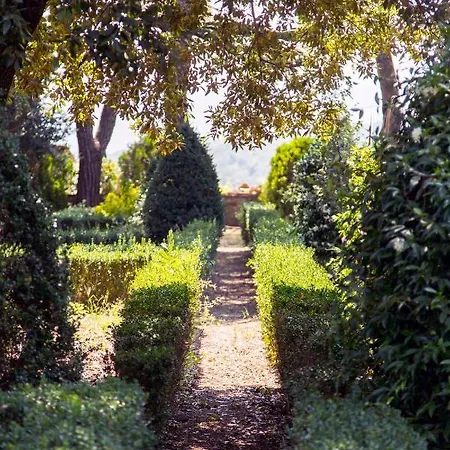 Colle Al Matrichese - Historic Winery